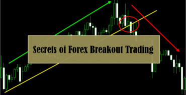 Forex trading secrets a trading system revealed pdf
